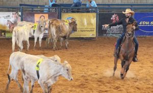 Sorocaba e Bruna Viola participam do Team Penning do Bem