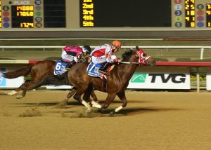 Trump My Record vence Texas Classic Futurity 2019