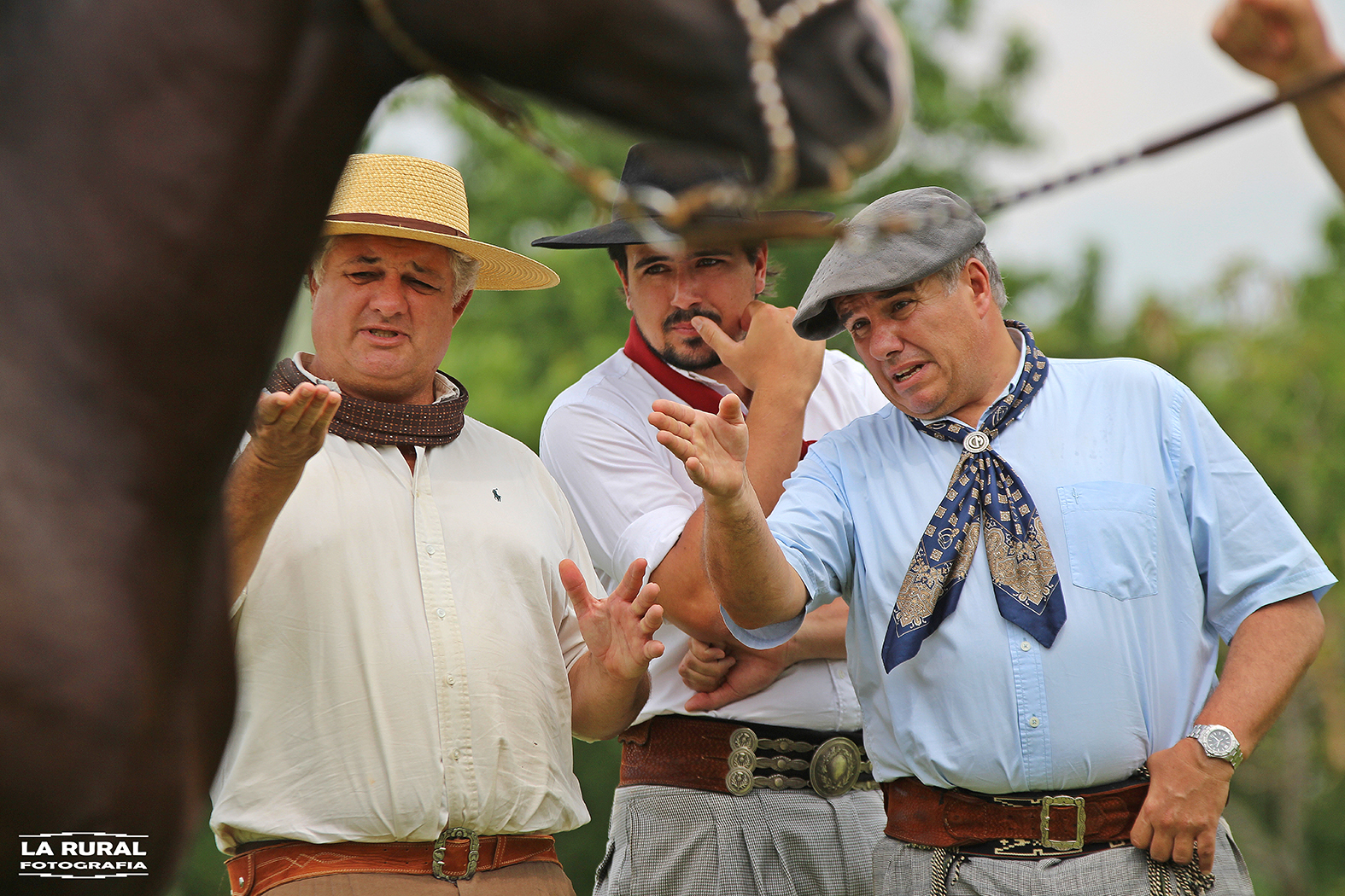 Uruguaiana registra números expressivos na Festa do Cavalo Crioulo