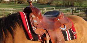 Confira 10 dicas para iniciar na Equitação Ocidental