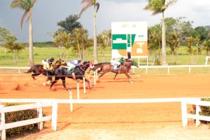 Yoyo Verde é o Campeão dos Campeões 2019