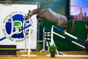 JCR Indy e Cassila vencem Nacional de Salto em Liberdade