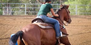 Veja 16 características comuns dos competidores de Três Tambores