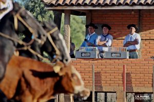 Estão abertas inscrições para formação de juízes para Paleteada e Doma de Ouro