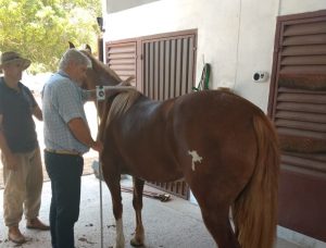 Gira técnica do cavalo Crioulo passa por municípios do Norte e Nordeste