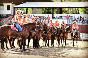 12º Campeonato Brasileiro de Marcha Picada dá show de beleza e andamento