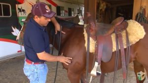 Aprenda a maneira correta de selar o seu cavalo