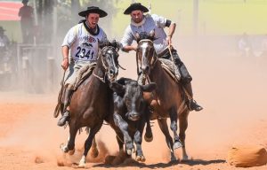 Tempranito e Festa Campeira movimentam o fim de semana crioulista