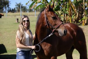 Bolt Doc’s Moon STZ: o castrado sensação das pistas de Três Tambores