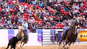 Foram definidos os campeões do World Series of Team Roping 2019