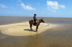 Cavalgar Nossa Paixão – Se as pessoas montassem mais a cavalo o mundo seria melhor