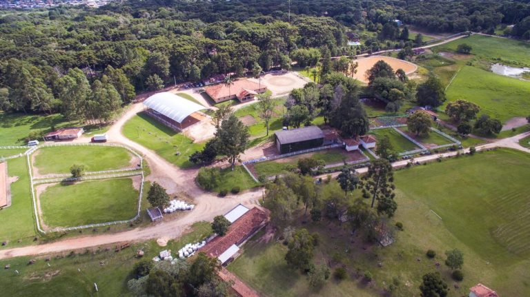 Conheça a história de sucesso do Haras 3S nas pistas de Três Tambores