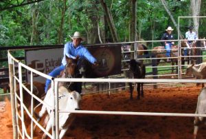 Dada a largada para a 3ª Copa West Wind de Ranch Sorting RSNC