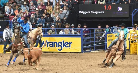 Junior Nogueira segue disputa do Laço Pé durante a NFR 2019