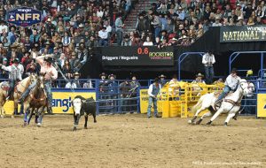 Junior Nogueira vence rodada 8 da NFR em Las Vegas