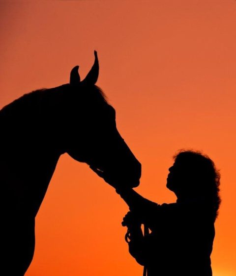 Livro que destaca a relação de mulheres com os cavalos é lançado em São Paulo