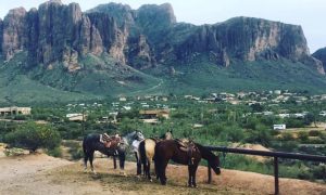 Mantenha seu cavalo bem cuidado no calor do verão