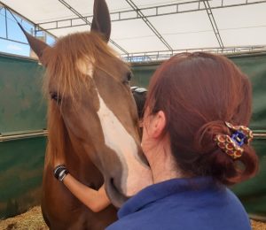 O seu cavalo pode falar com você?