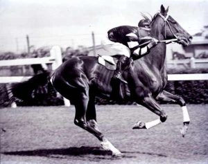 Phar Lap consagrado gênio das pistas de corrida nos anos 30