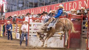 Cowboy Channel e RFD-TV serão os novos canais da PRCA