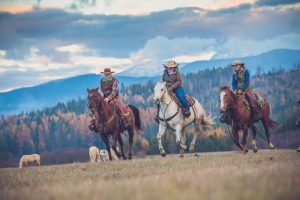 10 passos para você se tornar a sua melhor versão de cavaleiro