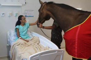 Cavalo BH visita pacientes com câncer em hospital