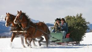 10 dicas de filmes equestres que você precisa ver neste Natal