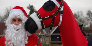 Divirta-se com esses memes envolvendo cavalos e Natal