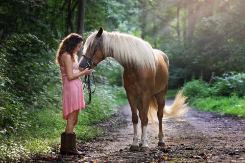 Estudo revela que cavalos podem reconhecer as emoções humanas