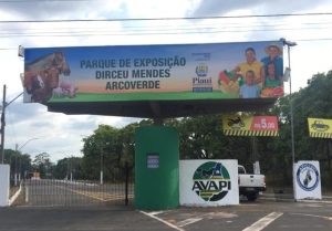 Cavalo Crioulo está presente na Expoapi de Teresina, no Piauí