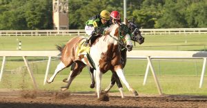 DTL Samureye e Southern Electric são campeões mundiais de corrida pela APHA 2019