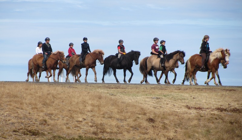 Cavalgada na Islândia 