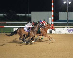 ApHC anuncia os campeões de corrida de 2019