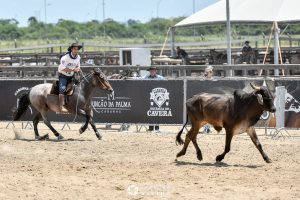 Laço Criador reúne mais de 120 laçadores em Esteio