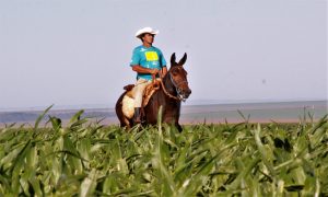 “Levando o conhecimento ao interior do Brasil”