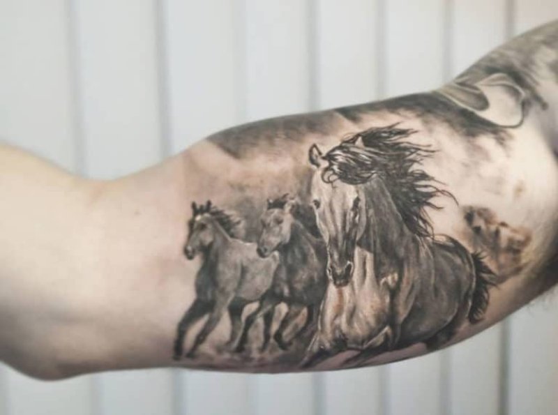 Cavalo xadrez tattoo