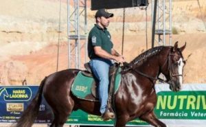 ABCCRM divulga mudanças no credenciamento de animais para a Exposição Nacional