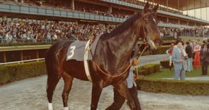 Ruffian foi uma estrela da Corrida nos anos 1970