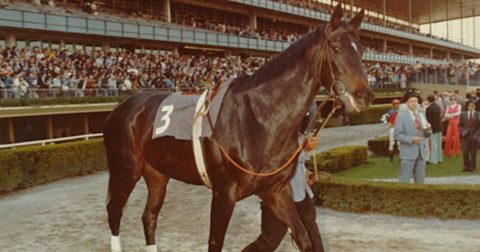 Ruffian foi uma estrela da Corrida nos anos 1970