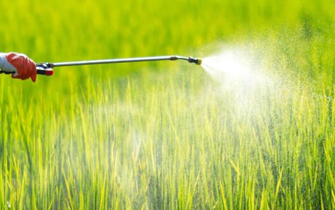 Em 2019, 94,5% dos defensivos agrícolas registrados foram produtos genéricos