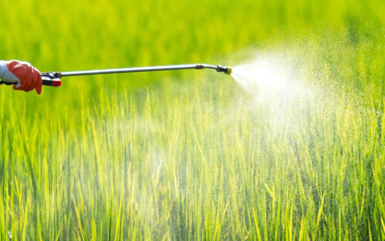Em 2019, 94,5% dos defensivos agrícolas registrados foram produtos genéricos