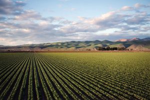 Confiança do Agronegócio fecha bem o 4º trimestre