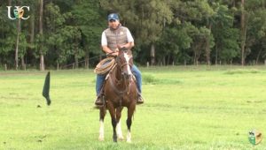 TV UC – Trabalhar a bandeira montado