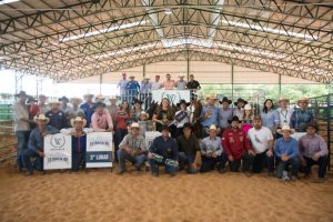 2ª Prova Estância VV abre calendário do Ranch Sorting em Araçatuba
