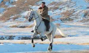 Coreia do Norte gasta mais de meio milhão de dólares em cavalos russos