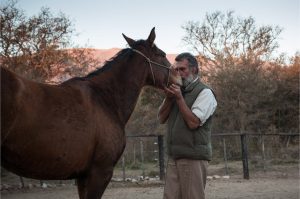 O argentino Oscar Scarpati é o criador da Doma Índia