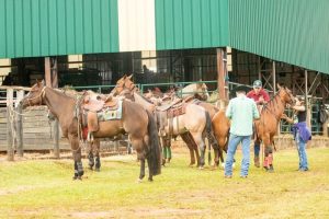 Liga Leste dá inicio ao seu campeonato de provas Oficializadas
