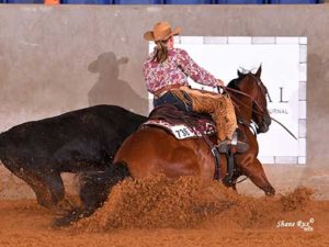 The Run For A Million terá prova de Working Cow Horse