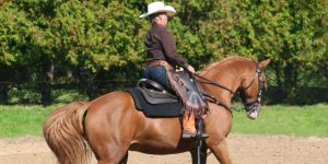 Equitação: aprenda a montar um círculo perfeito