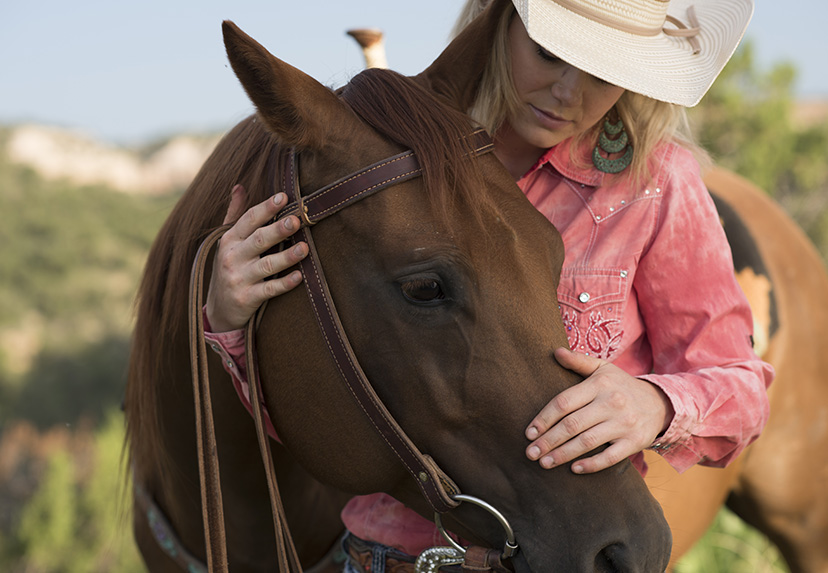 10 coisas para fazer com seu cavalo quando você está estressado